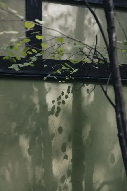 ╲New／【Sept.20】Autumn Wedding 『潔麗』  - イメージ 2