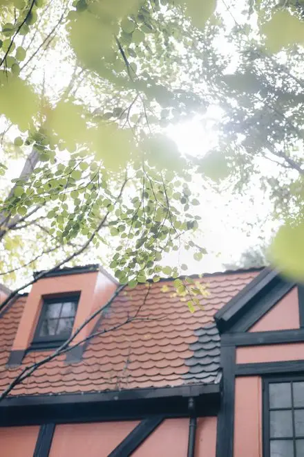 ╲New／【Sept.20】Autumn Wedding 『潔麗』  - イメージ 1