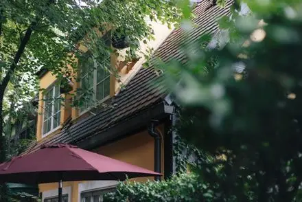 ╲New／【Sept.20】Autumn Wedding 『潔麗』  画像 18